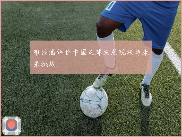 维拉潘评价中国足球发展现状与未来挑战