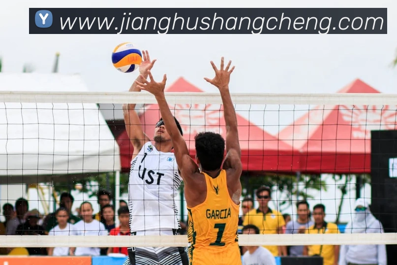 App Interface Preview